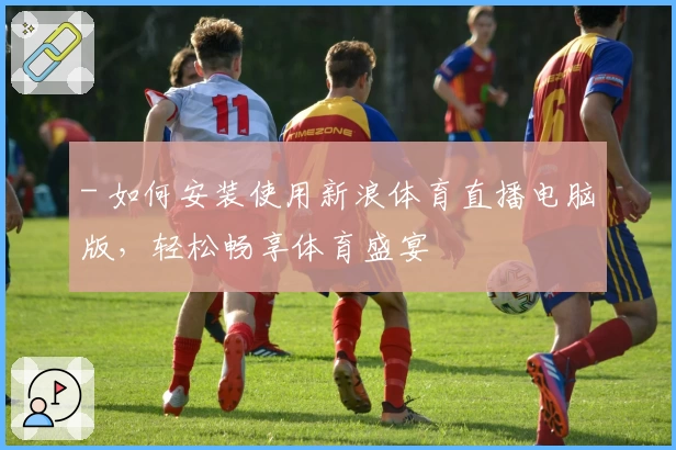 - 如何安装使用新浪体育直播电脑版，轻松畅享体育盛宴