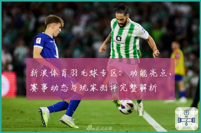 新浪体育羽毛球专区：功能亮点、赛事动态与玩家测评完整解析