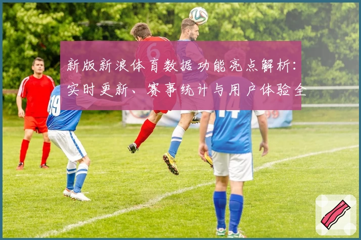 新版新浪体育数据功能亮点解析：实时更新、赛事统计与用户体验全面升级