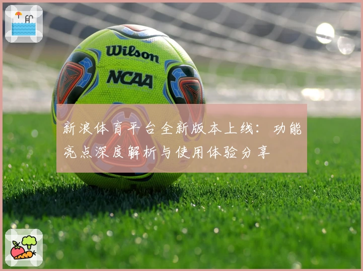 新浪体育平台全新版本上线：功能亮点深度解析与使用体验分享