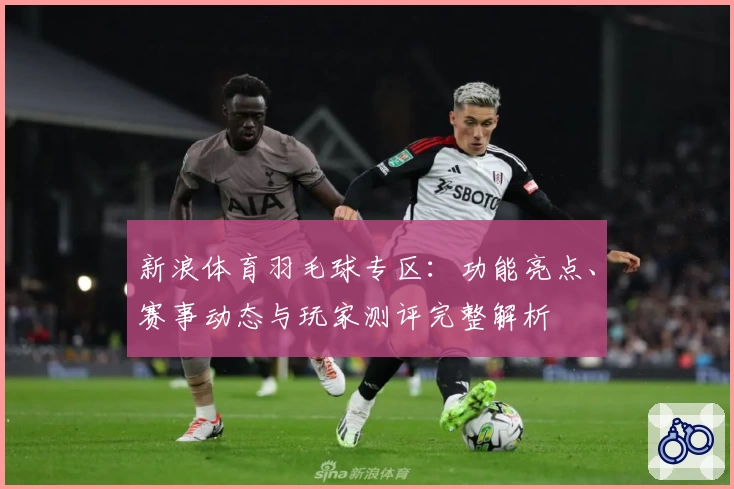新浪体育羽毛球专区：功能亮点、赛事动态与玩家测评完整解析