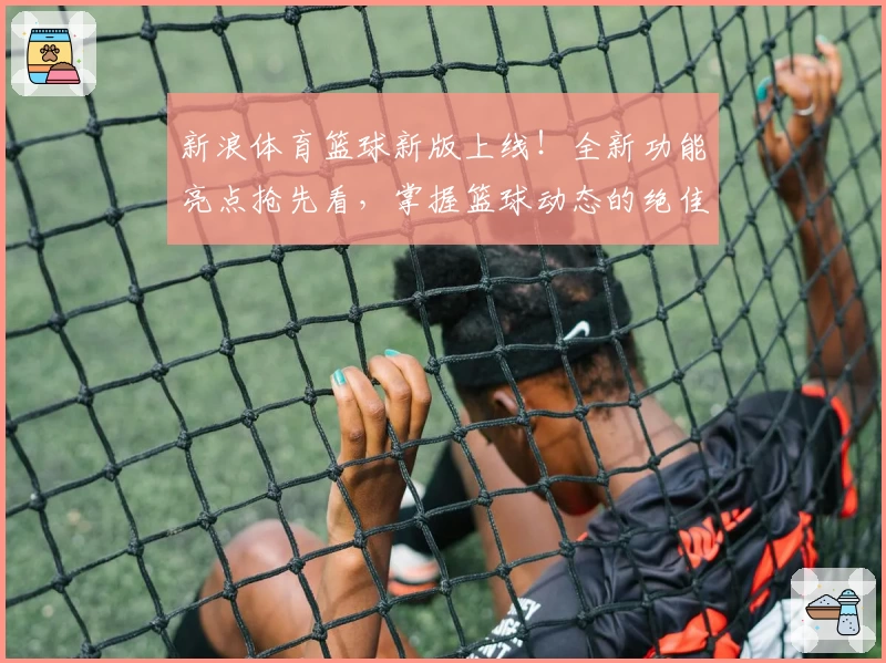 新浪体育篮球新版上线！全新功能亮点抢先看，掌握篮球动态的绝佳入口