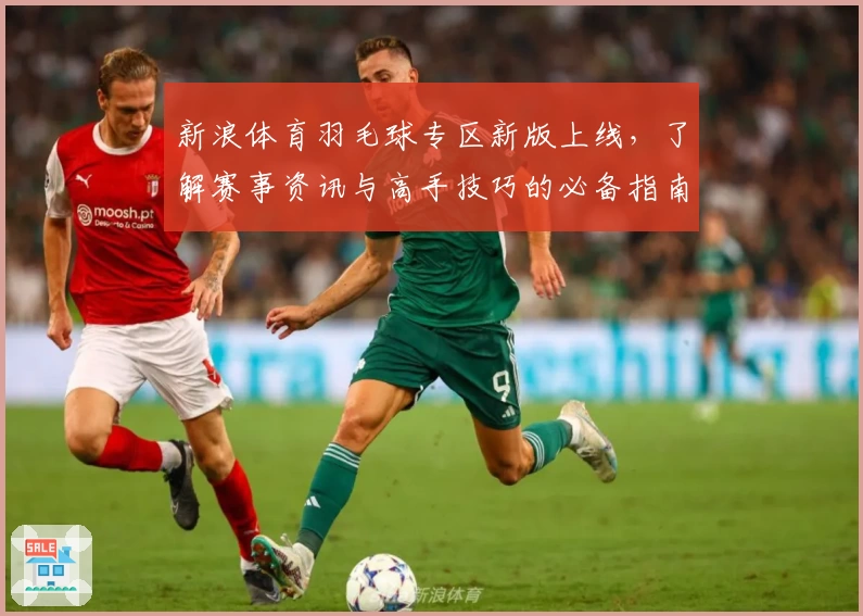 新浪体育羽毛球专区新版上线，了解赛事资讯与高手技巧的必备指南