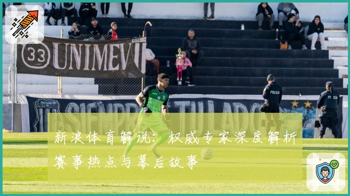 新浪体育解说：权威专家深度解析赛事热点与幕后故事
